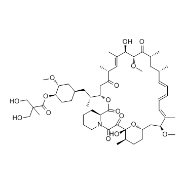 Temsirolimus(CCI-779)图片