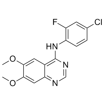 ZM 306416(CB 676475)图片