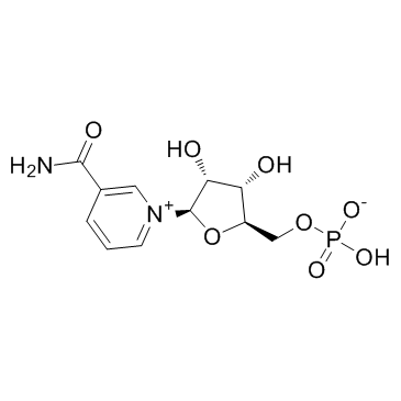 β-Nicotinamide mononucleotide(β-NM NMN)图片