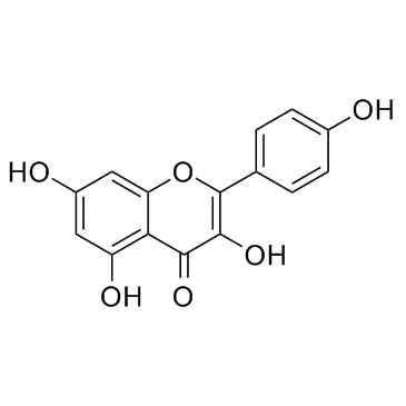 Kaempferol(RobigeninKempferol)图片
