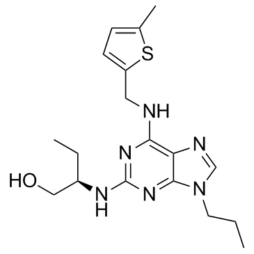 GV-58图片