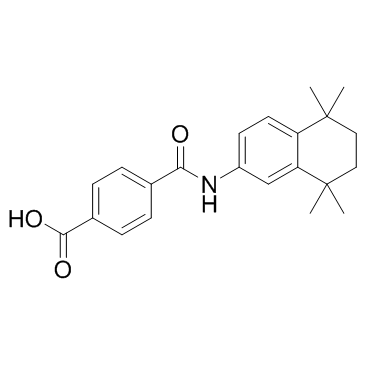 Tamibarotene(Am 80)图片