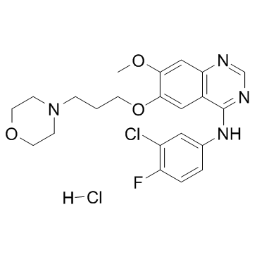 Gefitinib hydrochloride(ZD-1839 hydrochloride)图片
