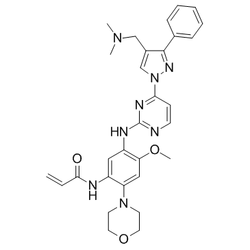Lazertinib(YH25448GNS-1480)图片