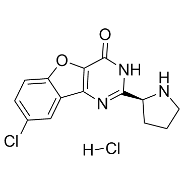 XL413 hydrochloride图片