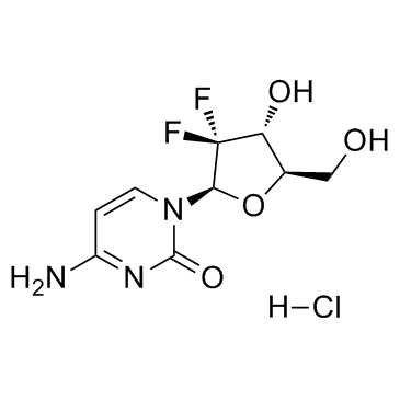 Gemcitabine Hydrochloride(LY 188011 hydrochloride)图片
