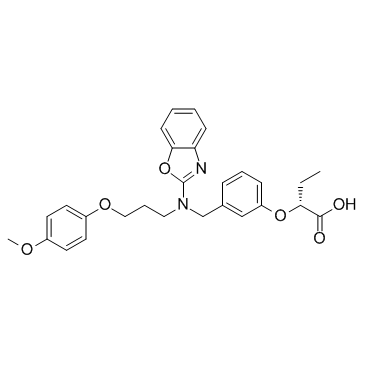 Pemafibrate((R)-K-13675)图片