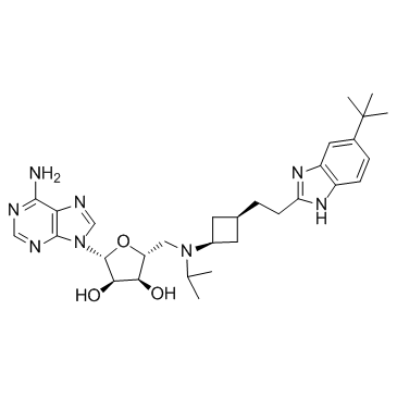 EPZ-5676(Pinometostat)图片