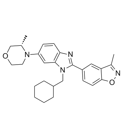 Y06137图片