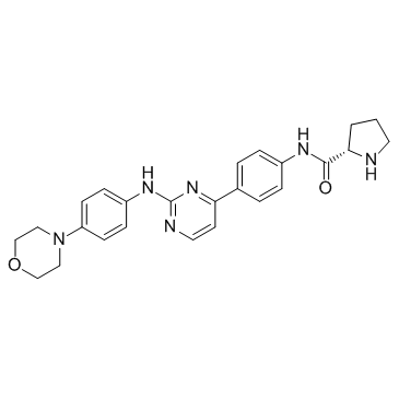 XL019图片