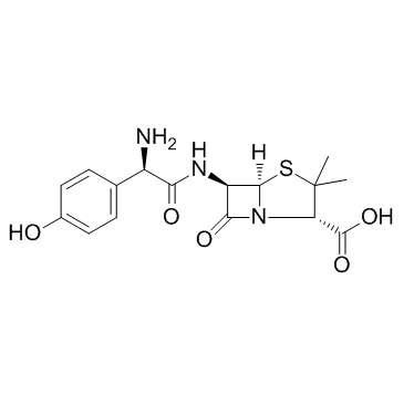 Amoxicillin(Amoxycillin)图片