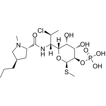 Clindamycin phosphate(Clindamycin 2-dihydrogen phosphateU-28508)图片