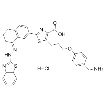 WEHI-539 hydrochloride图片