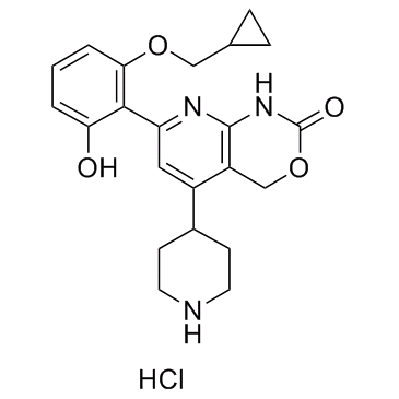 IKK inhibitor 1图片