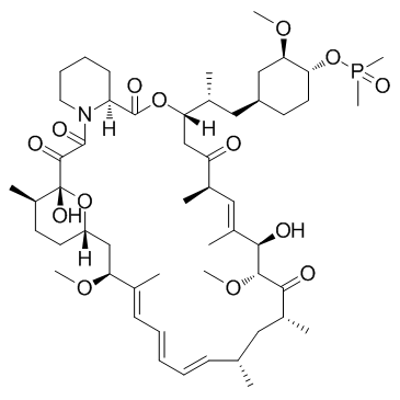 Deforolimus(AP23573MK-8669Ridaforolimus)图片