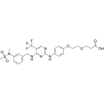 FAK ligand-Linker Conjugate 1图片