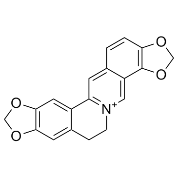 Coptisine(Coptisin)图片