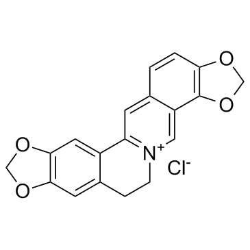 Coptisine chloride图片
