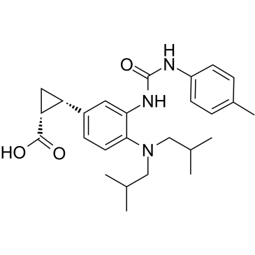 IDO inhibitor 4图片