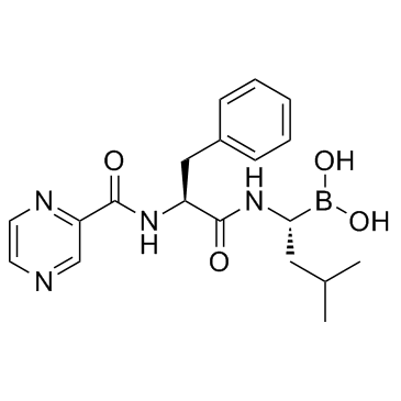 Bortezomib(PS-341 LDP-341 NSC 681239)图片
