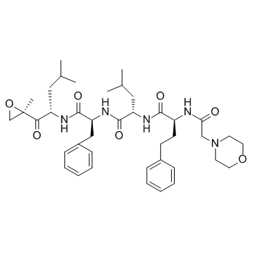 Carfilzomib(PR-171)图片