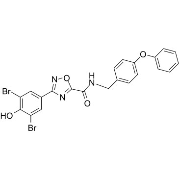 IOWH-032(IOWH032)图片