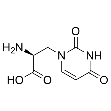 (S)-Willardiine((-)-Willardiine)图片