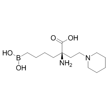 Arginase inhibitor 1图片