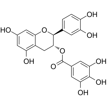 (-)-Catechin gallate((-)-Catechin 3-gallate(-)-Catechin 3-O-gallate)图片
