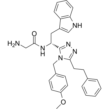 JMV 2959图片