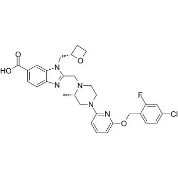 GLP-1 receptor agonist 2图片