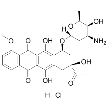 Daunorubicin Hydrochloride(RP 13057 HCl Daunomycin HCl Rubidomycin HCl)ͼƬ