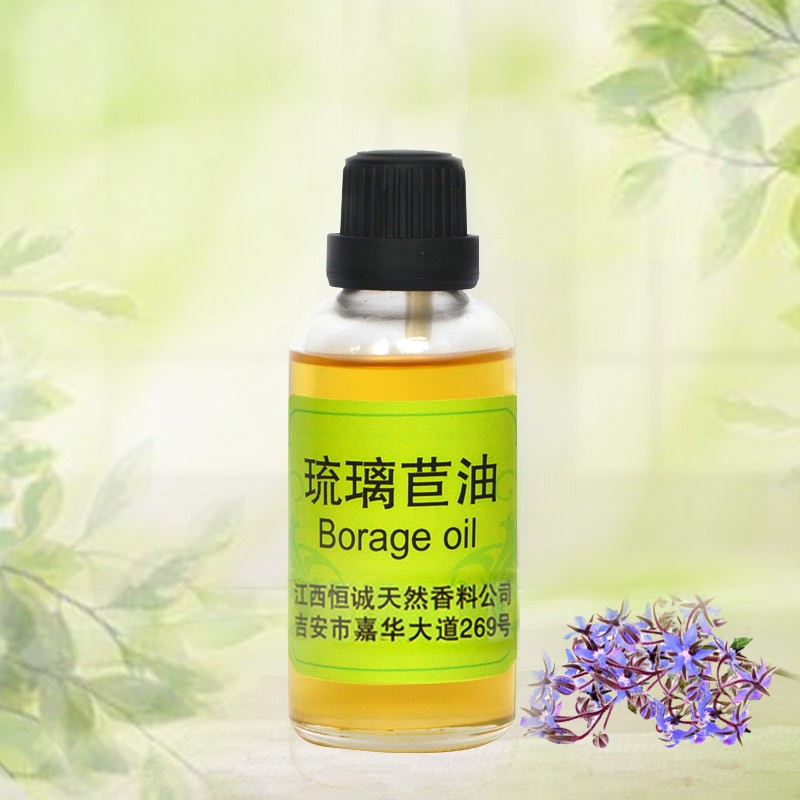 琉璃苣油图片