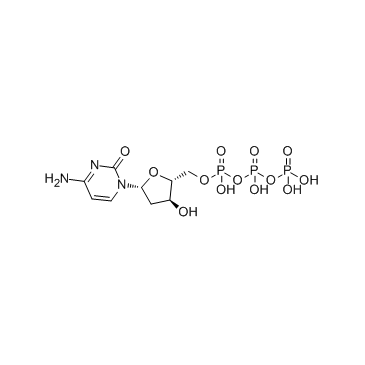 Deoxycytidine triphosphate(dCTP)ͼƬ