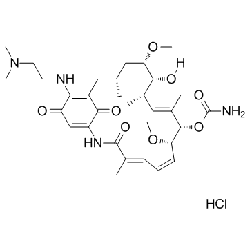 Alvespimycin hydrochloride(17-DMAG hydrochloride KOS-1022 BMS 826476)ͼƬ