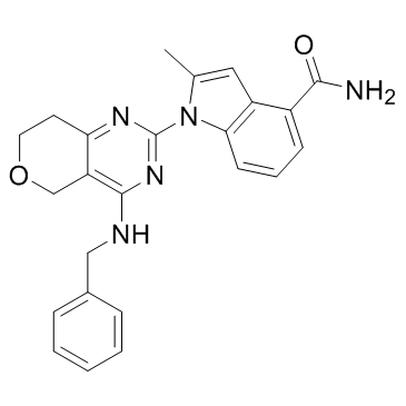 CB-5083图片