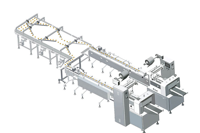 CB-420V Fish and Seafood Packaging Machine图片