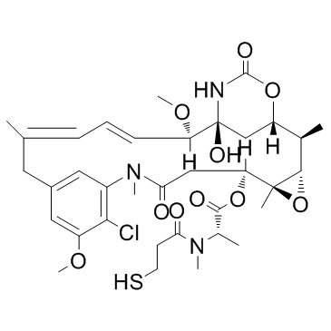 Mertansine(DM1Maytansinoid DM1)图片
