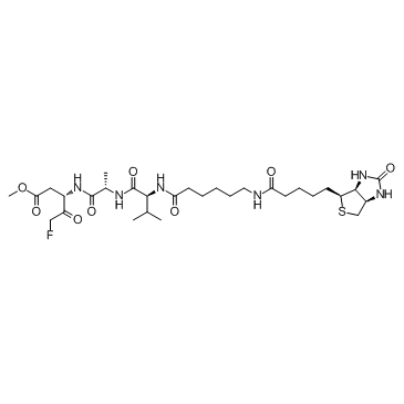 Biotin-VAD-FMK图片