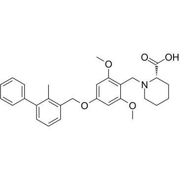 BMS-1(PD-1/PD-L1 inhibitor 1)图片
