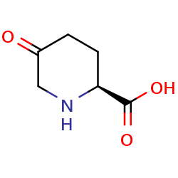 (2S)-5-oxopiperidine-2-carboxylicacid图片
