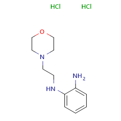 N1-[2-(morpholin-4-yl)ethyl]benzene-1,2-diaminedihydrochloride图片