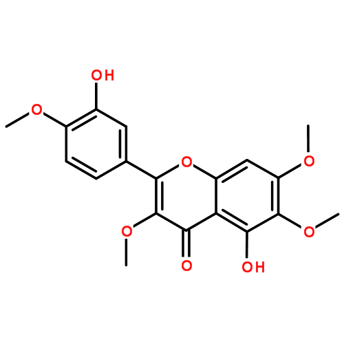 蔓荆子黄素图片