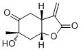 Paeonilactone B图片