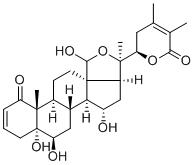 Physaminimin C图片