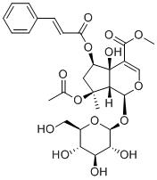 6-O-trans-Cinnamoylphlorigidoside B图片