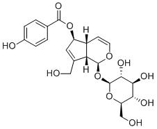 6-O-p-Hydroxybenzoylaucubin图片