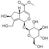 10-Hydroxymajoroside图片
