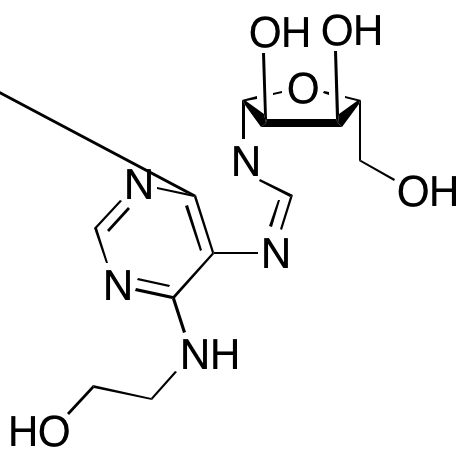 (2R,3R,4S,5R)-2-(6-((2-Hydroxyethyl)amino)-9H-purin-9-yl)-5-(hydroxymethyl)tetrahydrofuran-3,4-diol图片