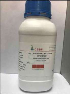 花宝2号图片